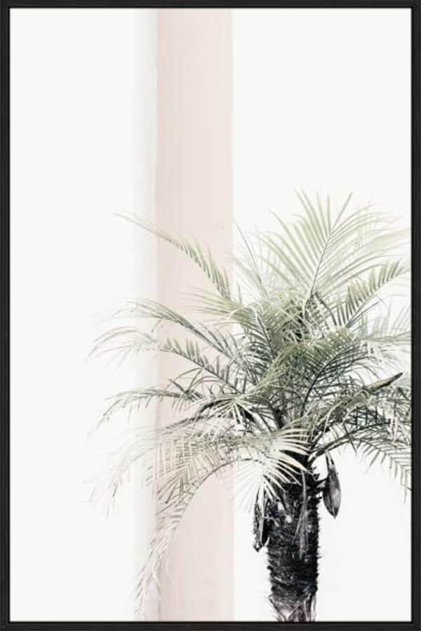 Studio III – Palm Tree - Canvas - Image 3