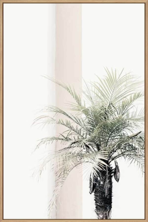 Studio III – Palm Tree - Canvas